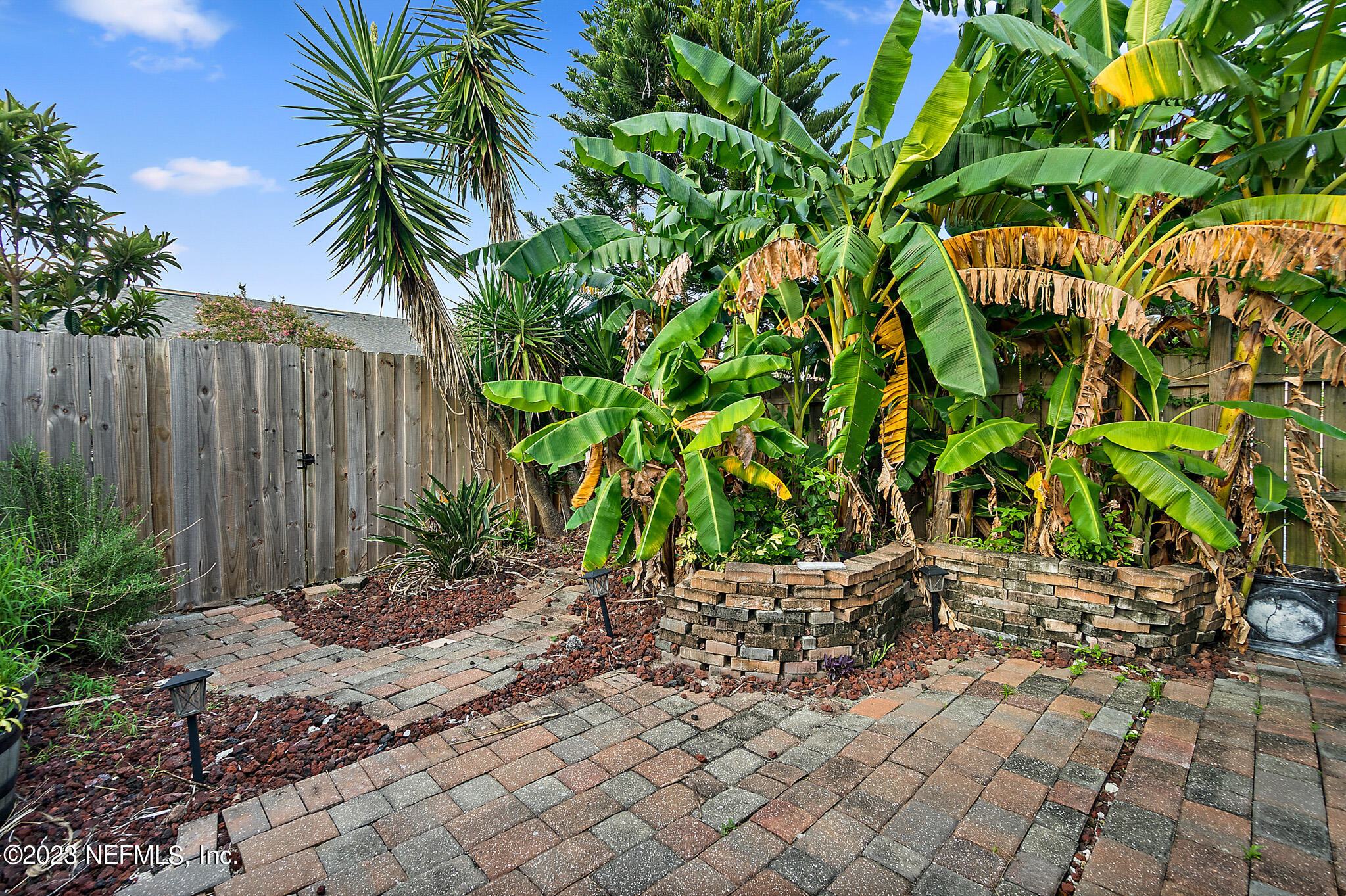 3905 Windjammer Lane St. Augustine, FL 32084 - Photo 36 of 40 a backyard of a house with potted plants and large trees