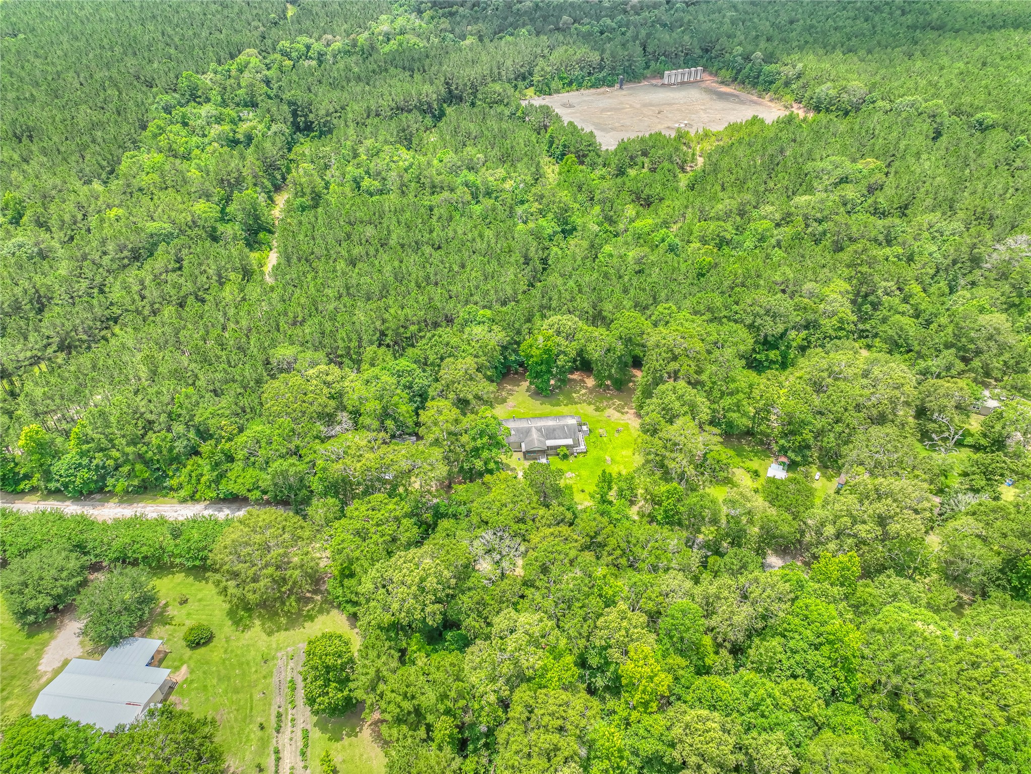 657 Parrish Road Livingston, TX 77351 - Photo 30 of 47 a view of a yard and trees