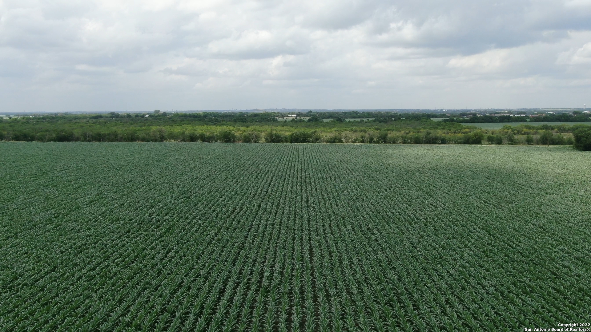0 Schmoekel Road Cibolo, TX 78108 - Photo 5 of 8 a view of a lake with a city