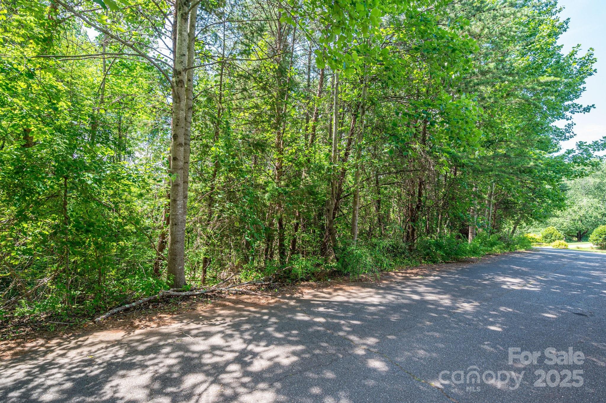 Lot #24 Deacons Rdg Drive Rutherfordton, NC 28139 - Photo 2 of 15