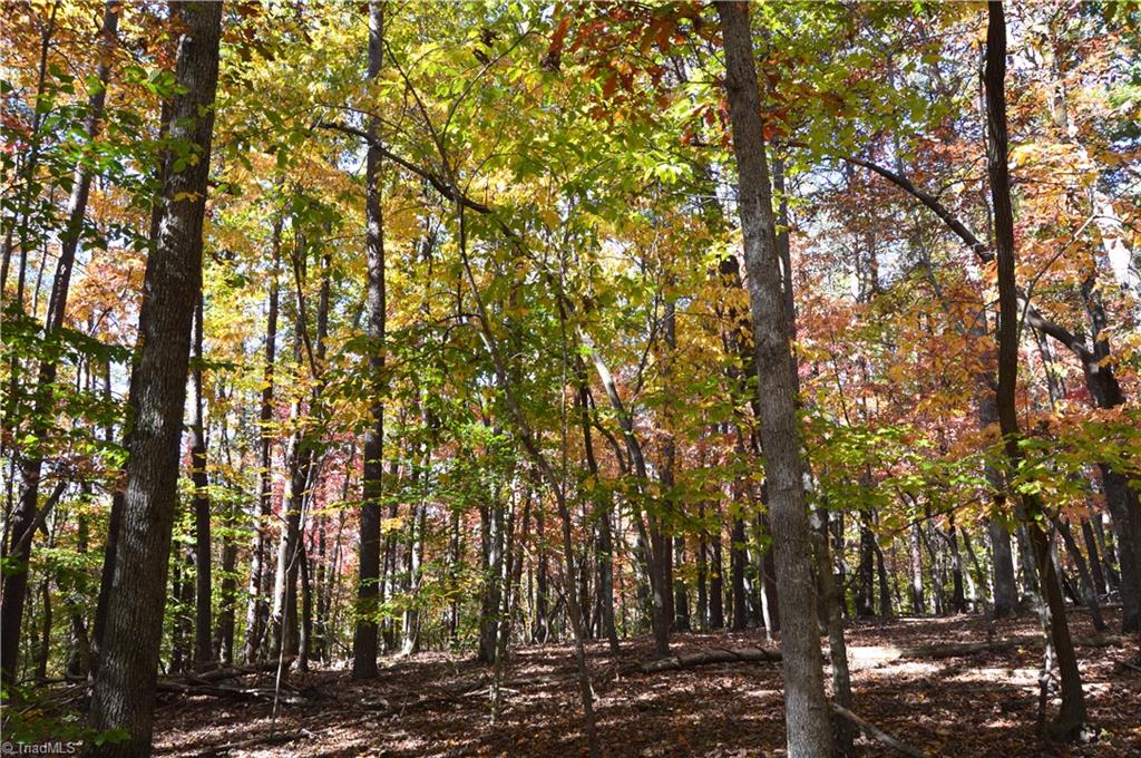 0 Ward Road Eden, NC 27288 - Photo 11 of 28 Gallery Image 11