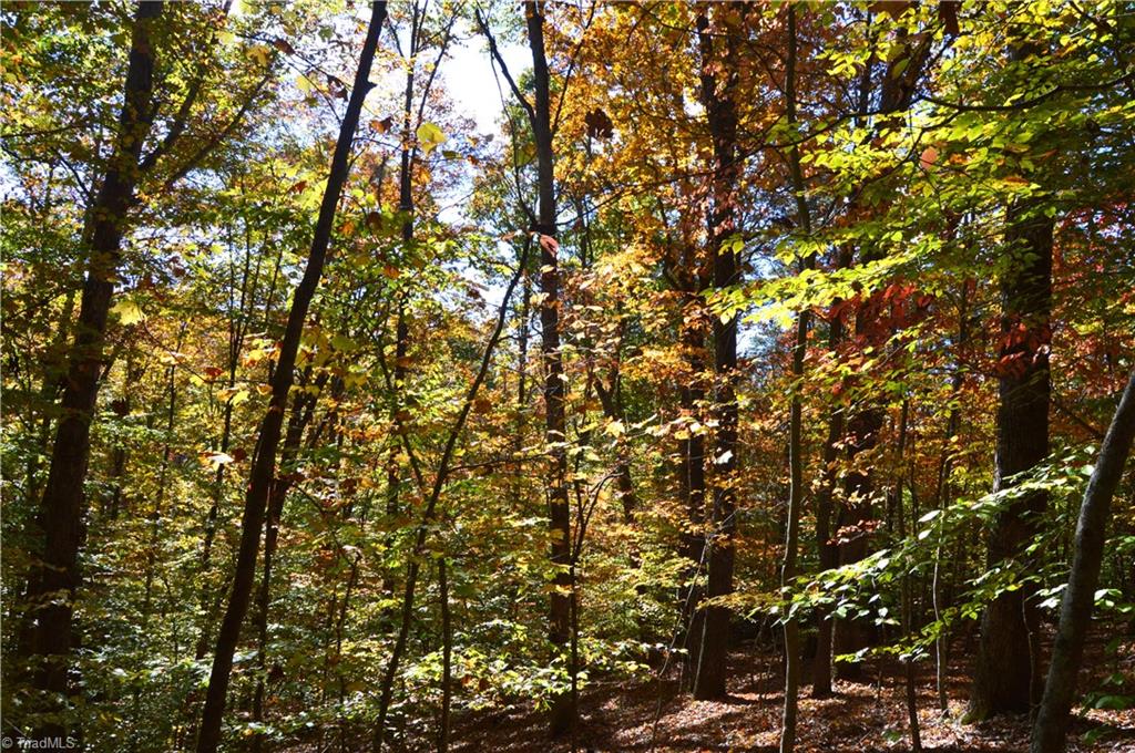 0 Ward Road Eden, NC 27288 - Photo 13 of 28 Gallery Image 13