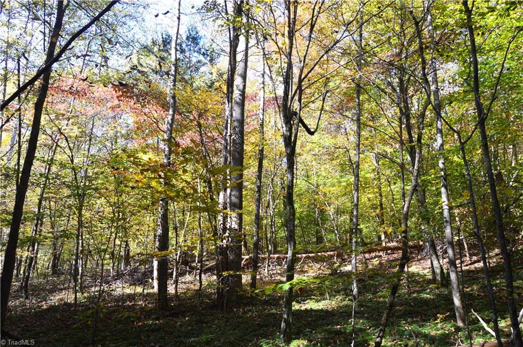0 Ward Road Eden, NC 27288 - Photo 16 of 28 Gallery Image 16