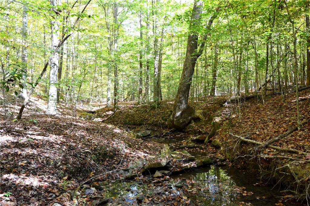 0 Ward Road Eden, NC 27288 - Photo 20 of 28 Gallery Image 20