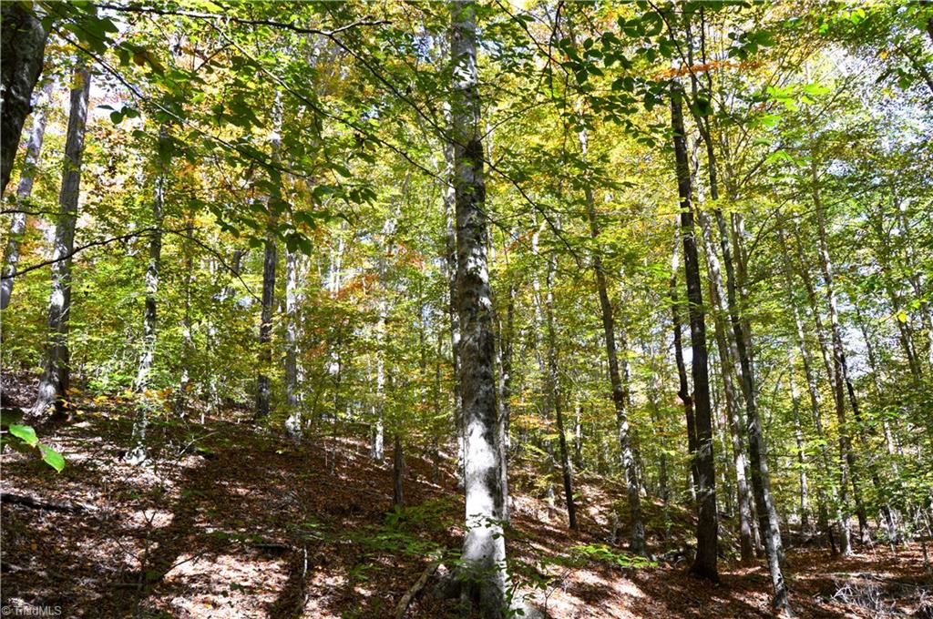 0 Ward Road Eden, NC 27288 - Photo 21 of 28 Gallery Image 21