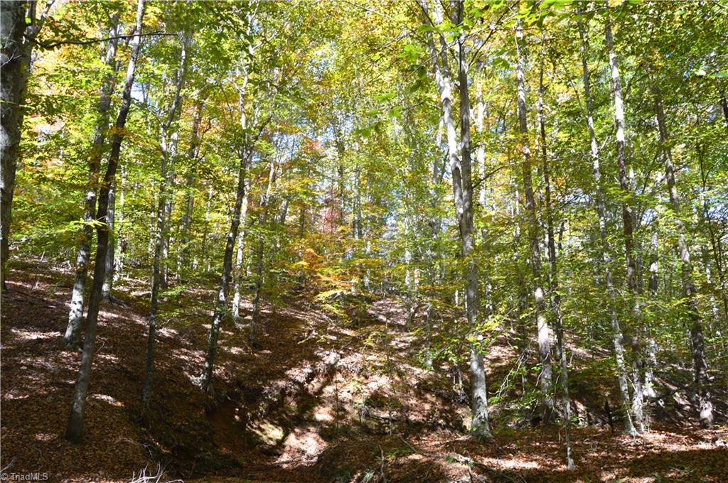0 Ward Road Eden, NC 27288 - Photo 23 of 28 Gallery Image 23