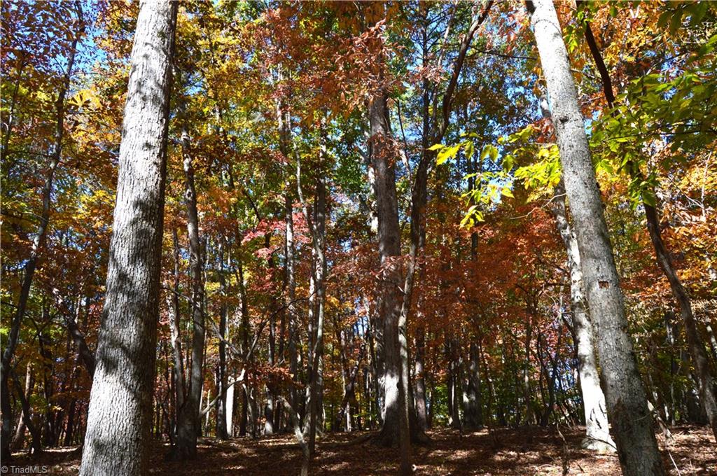 0 Ward Road Eden, NC 27288 - Photo 25 of 28 Gallery Image 25
