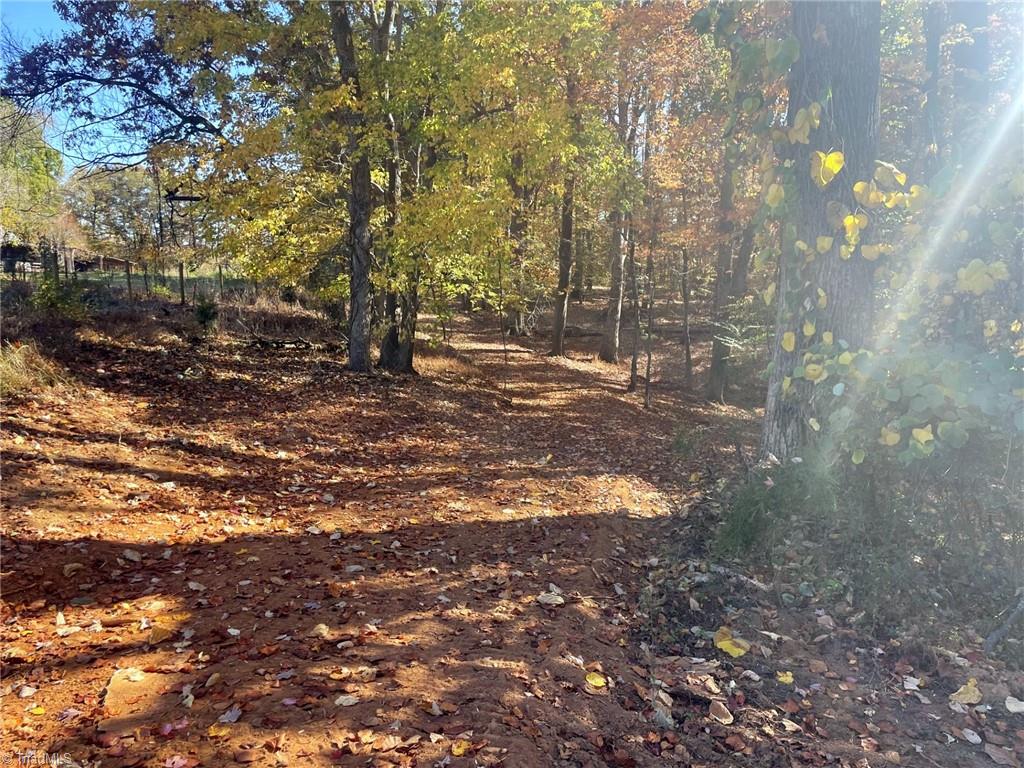 0 Ward Road Eden, NC 27288 - Photo 5 of 28 Gallery Image 5
