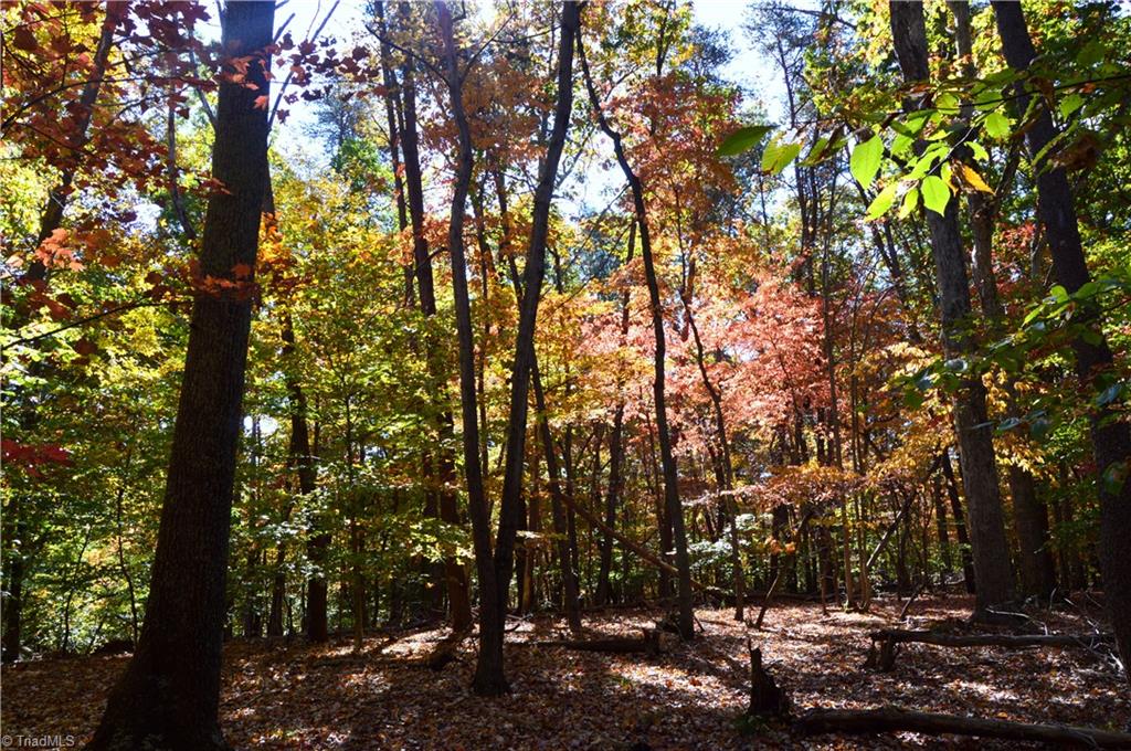 0 Ward Road Eden, NC 27288 - Photo 7 of 28 Gallery Image 7