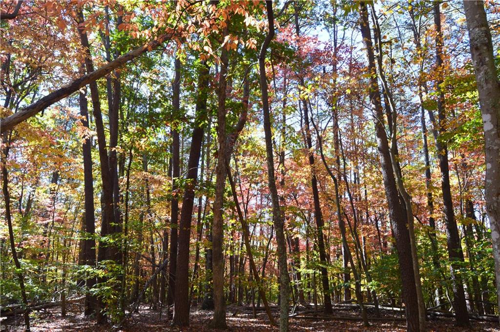 0 Ward Road Eden, NC 27288 - Photo 8 of 28 Gallery Image 8