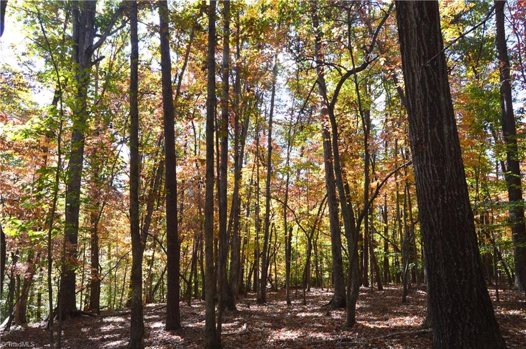 0 Ward Road Eden, NC 27288 - Photo 10 of 28 Gallery Image 10