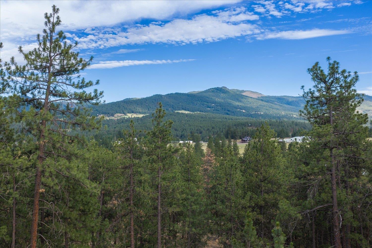 2712 North Chase Road Liberty Lake, WA 99019 - Photo 41 of 49