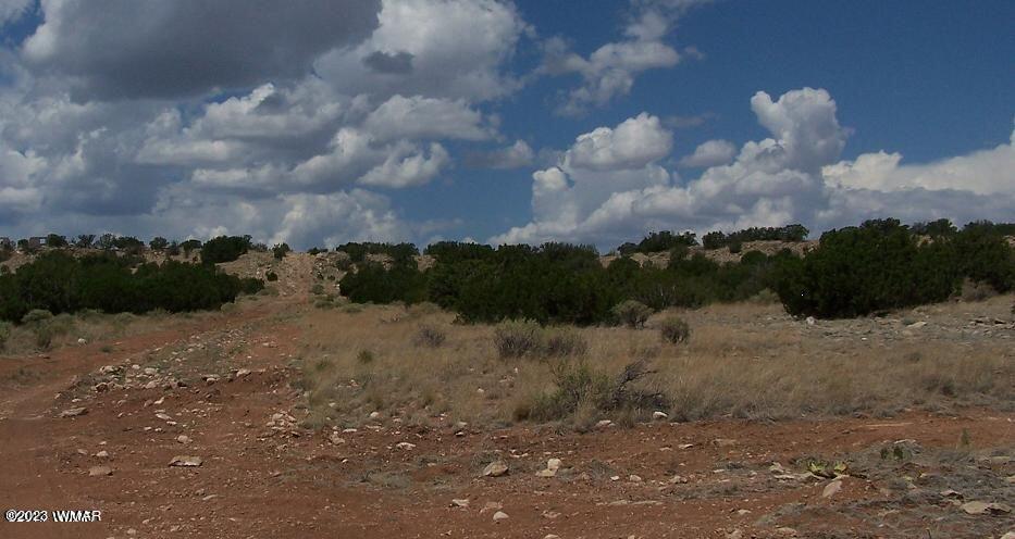 Lot 457 Chevelon Canyon Ranch Heber, AZ 85928 - Photo 1 of 1