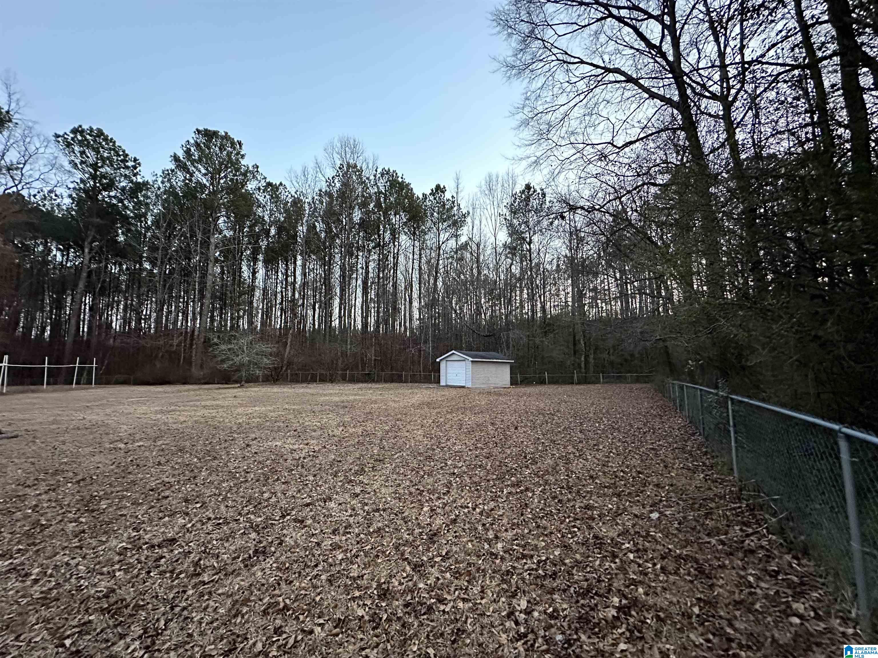 31 Spring Creek Road Jasper, AL 35503 - Photo 17 of 21