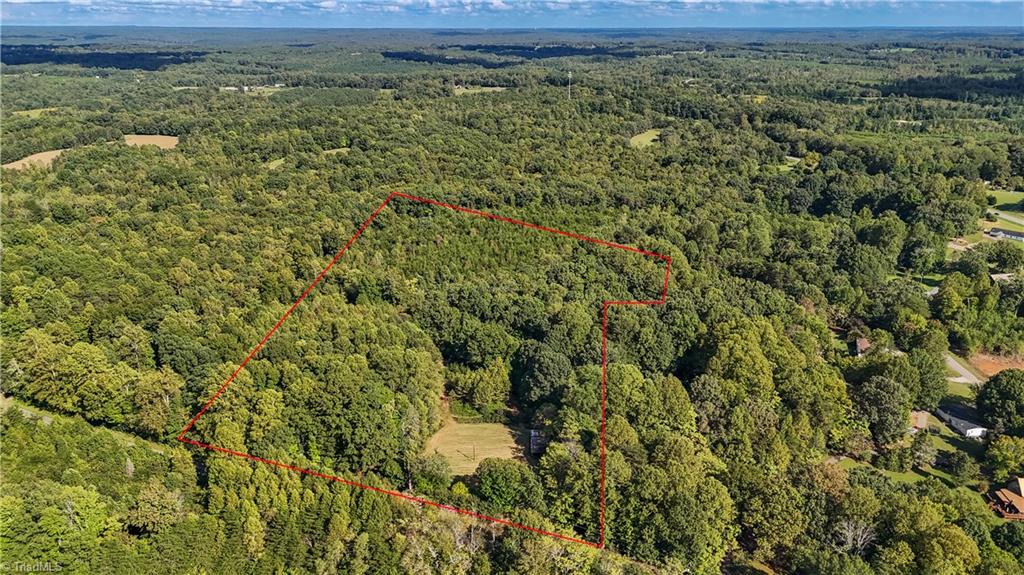 255 Smothers Road Madison, NC 27025 - Photo 7 of 15