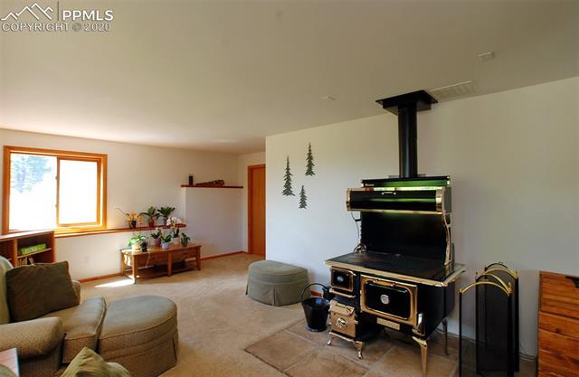 956 Bristlecone Road Guffey, CO 80820 - Photo 11 of 17 Gallery Image 11