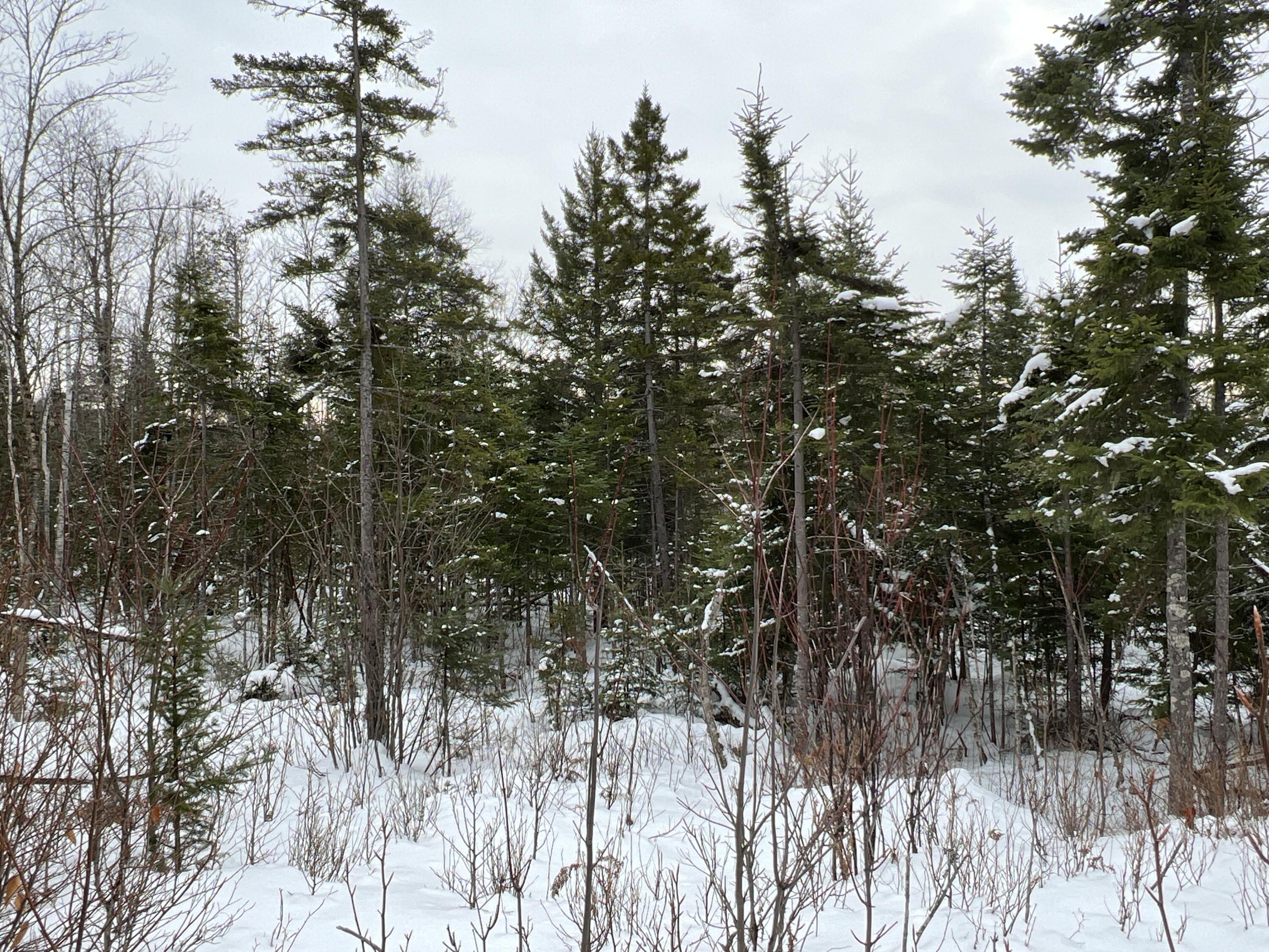 Lot 2-18 Shin Pond Rd Mount Mount Chase, ME 04765 - Photo 35 of 59