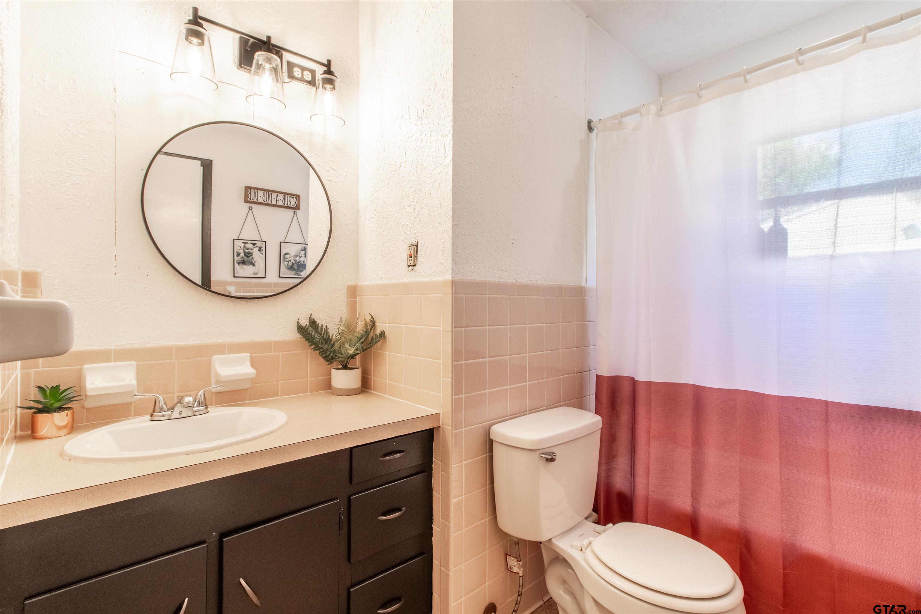 513 Lance Road Quitman, TX 75783 - Photo 13 of 27 a bathroom with a toilet a sink and a mirror