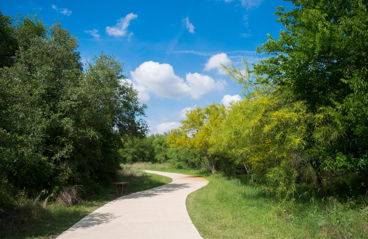507 Alderney Road Cedar Park, TX 78613 - Photo 9 of 10
