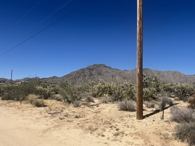 11108 Alvis Road Yucca, AZ 86438 - Photo 7 of 20
