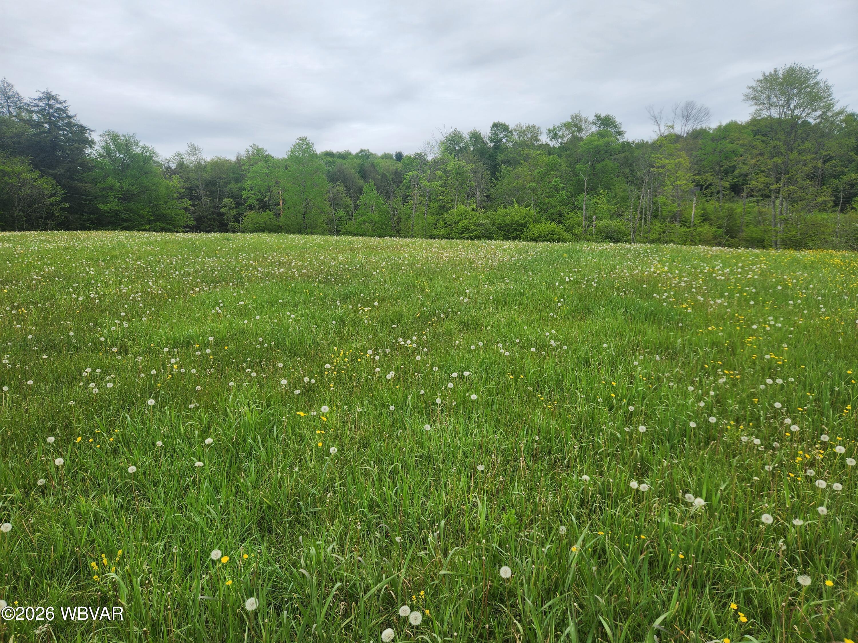 Dykes Road Forksville, PA 18616 - Photo 1 of 5 Land