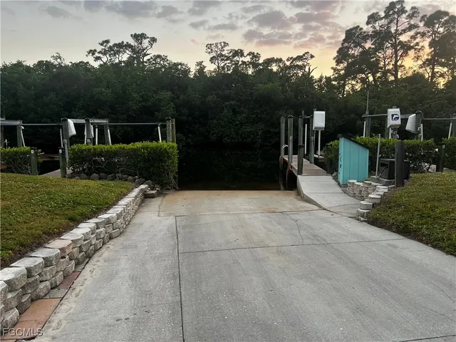 a view of a garden with plants