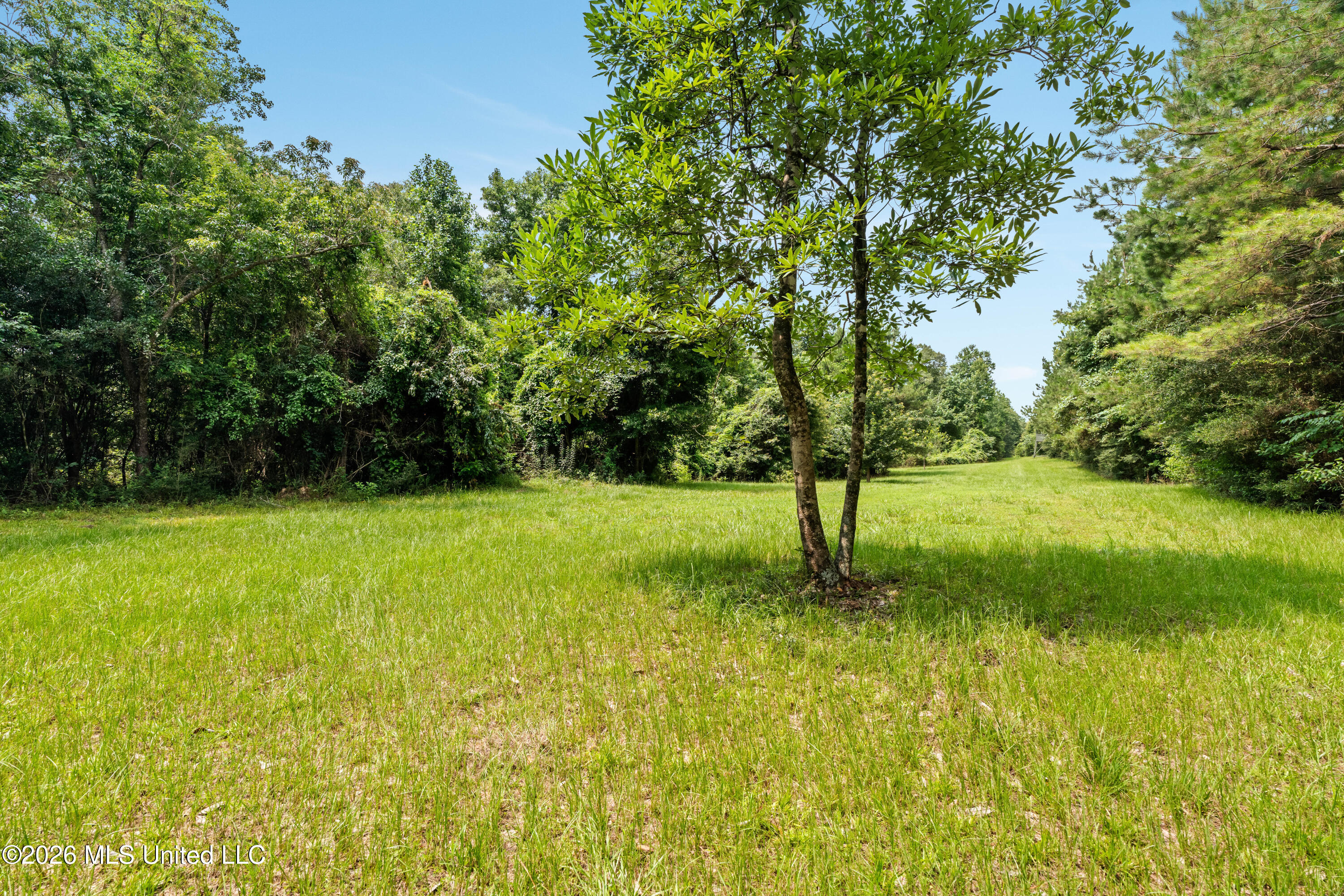 232 Knoxo Columbia Road Tylertown, MS 39667 - Photo 82 of 120 232_Knoxo_Columbia_Rd-82