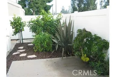 a view of a street with a tree
