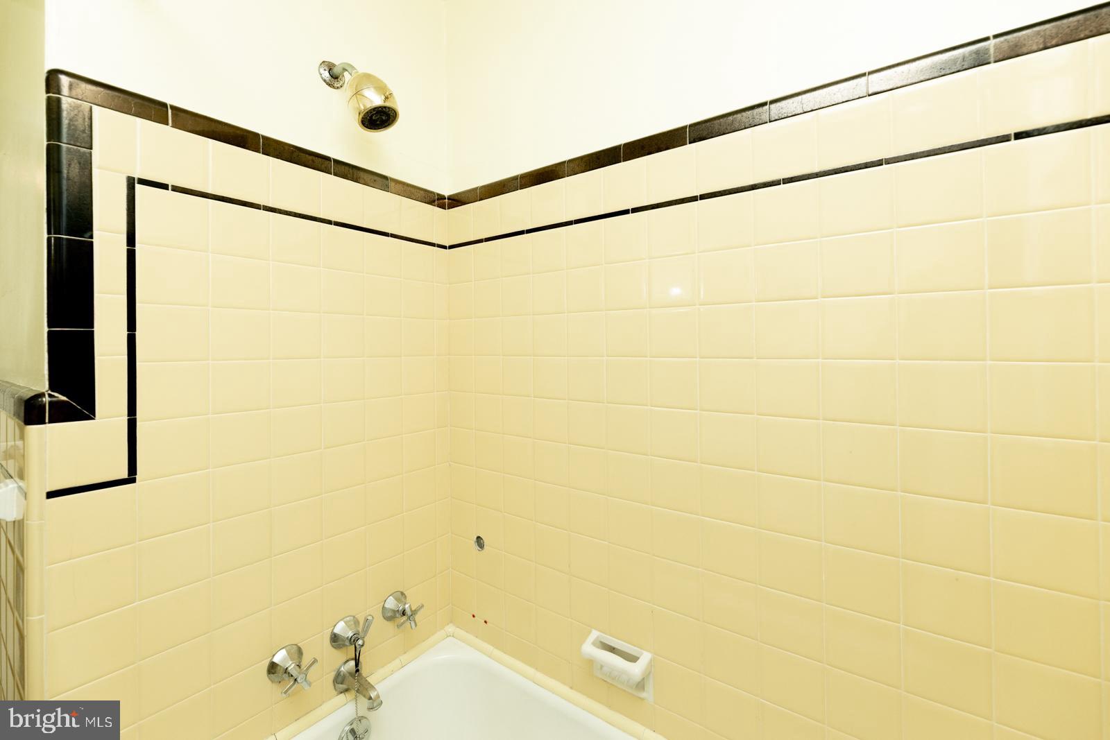 637 Croyden Road Cheltenham, PA 19012 - Photo 39 of 48 a bathroom with a bathtub and shower