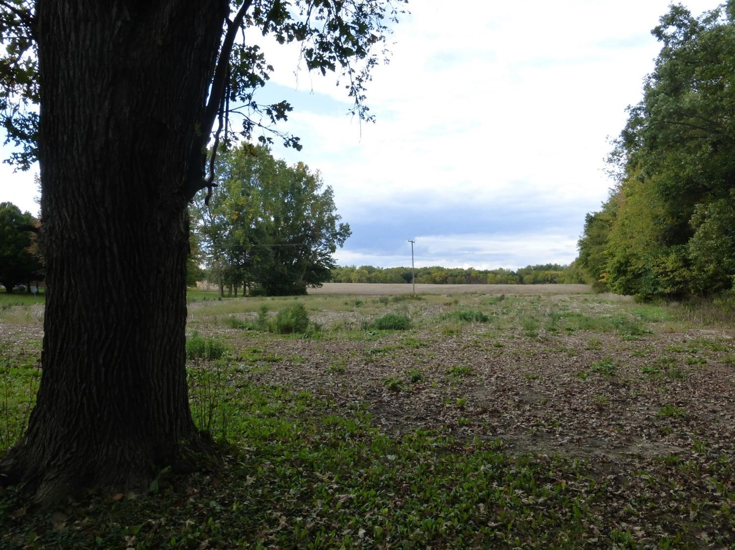 0 Sager Road Chelsea, MI 48118 - Photo 3 of 12 Photo 3