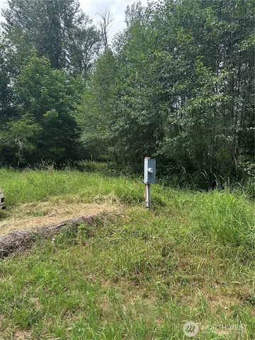 a view of a green field with a fountain