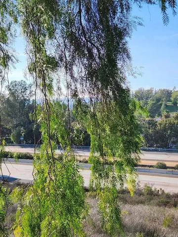 a view of yard with green space
