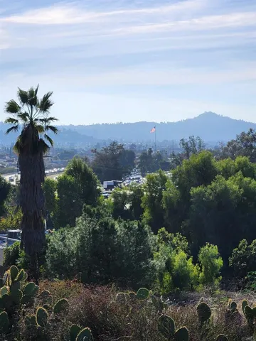 a view of a city with a mountain