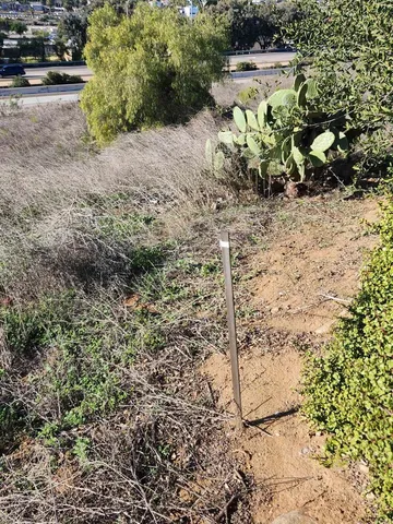 a view of a yard with plants