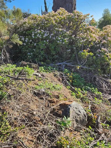 a view of a lake with a mountain