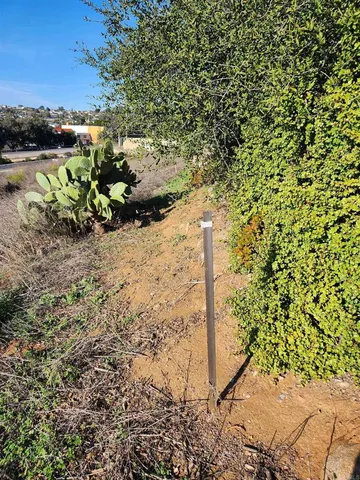 a view of a lush green forest with trees and houses
