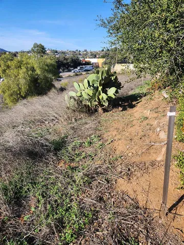 a view of a pathway with a yard