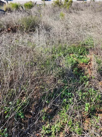 a view of ocean view