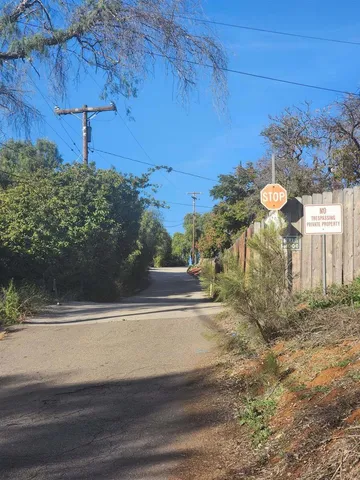 a view of a house with a yard and potted plants