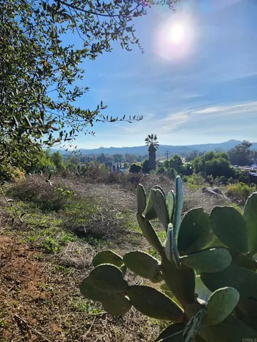 a view of a dry yard with wooden fence
