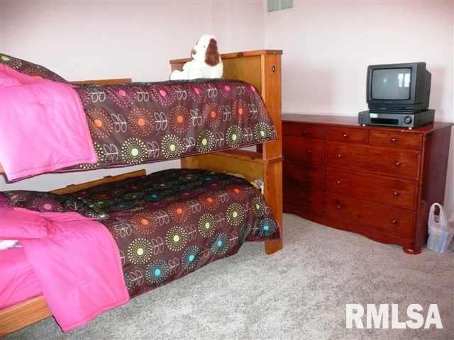 4202 Spring Street Davenport, IA 52807 - Photo 10 of 12 Gallery Image 10