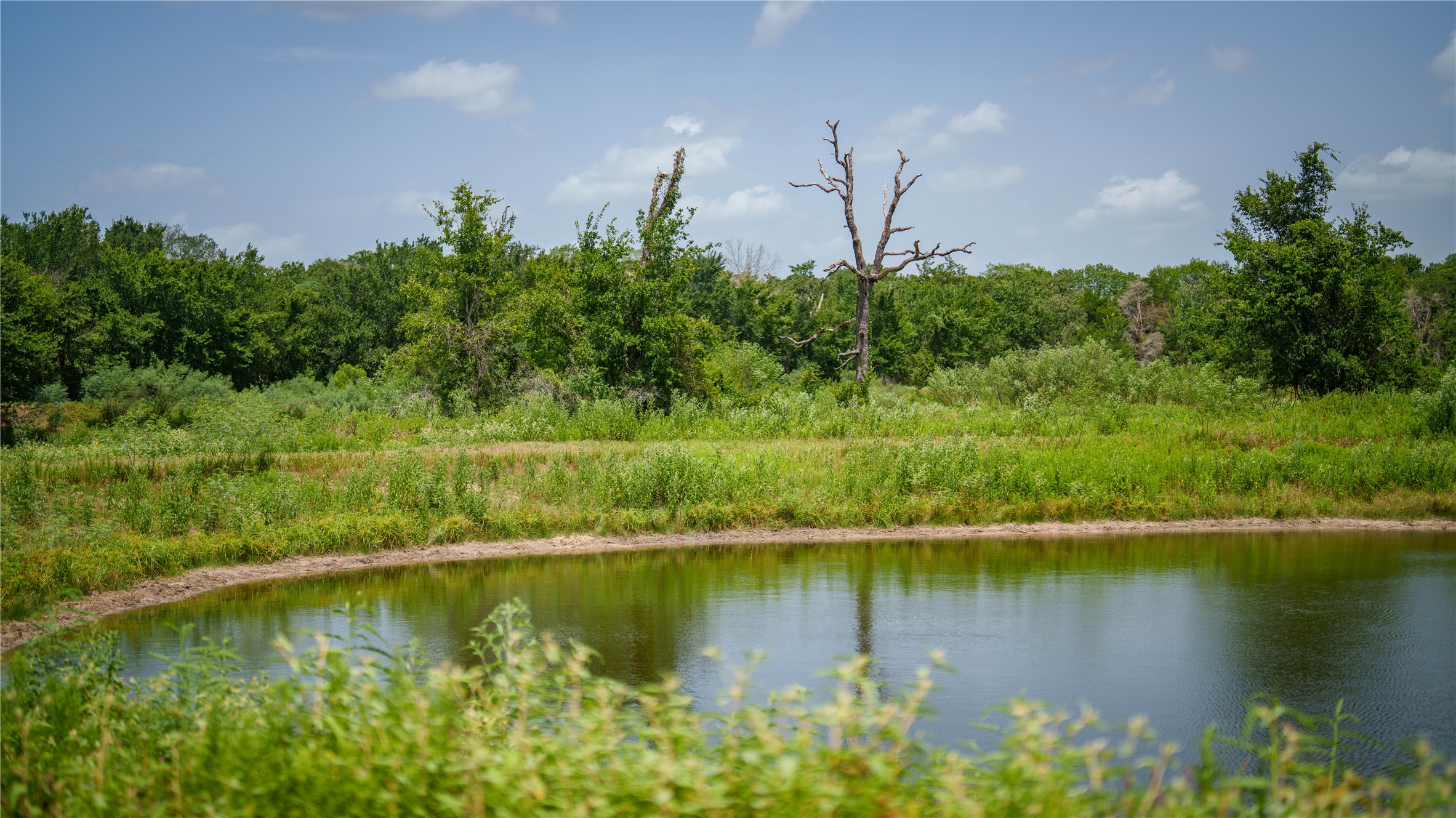 7221 West Old Lockhart Road Muldoon, TX 78949 - Photo 5 of 38 Mature trees frame a quiet pond on this serene rural acreage.