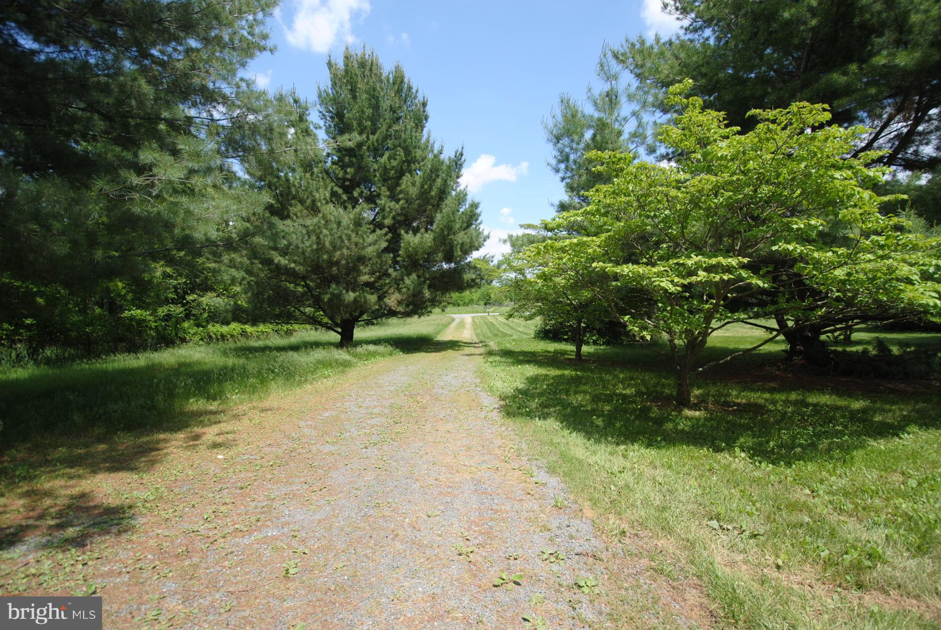 3223 Kimble Road Berryville, VA 22611 - Photo 2 of 27 Driveway