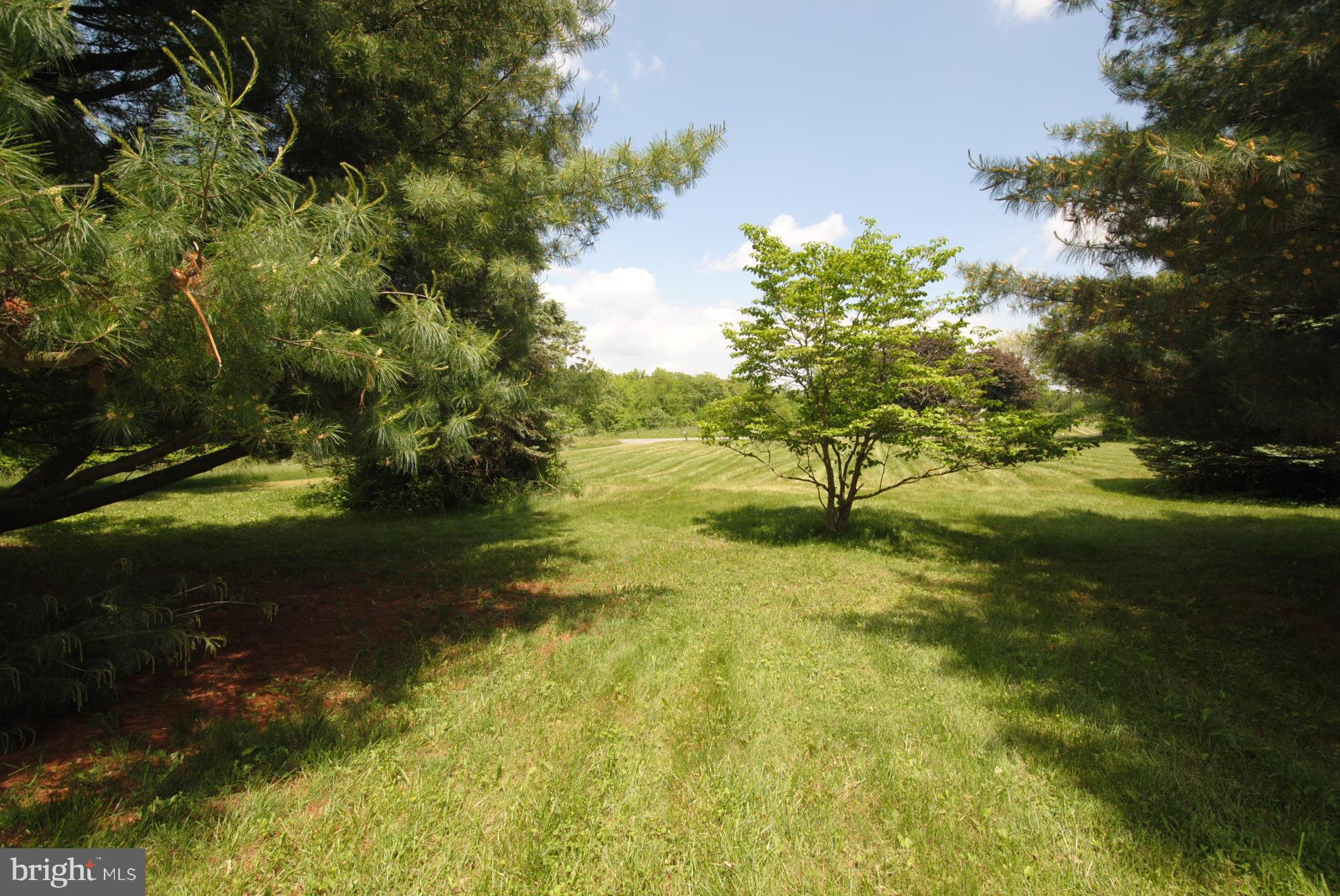 3223 Kimble Road Berryville, VA 22611 - Photo 3 of 27 front yard