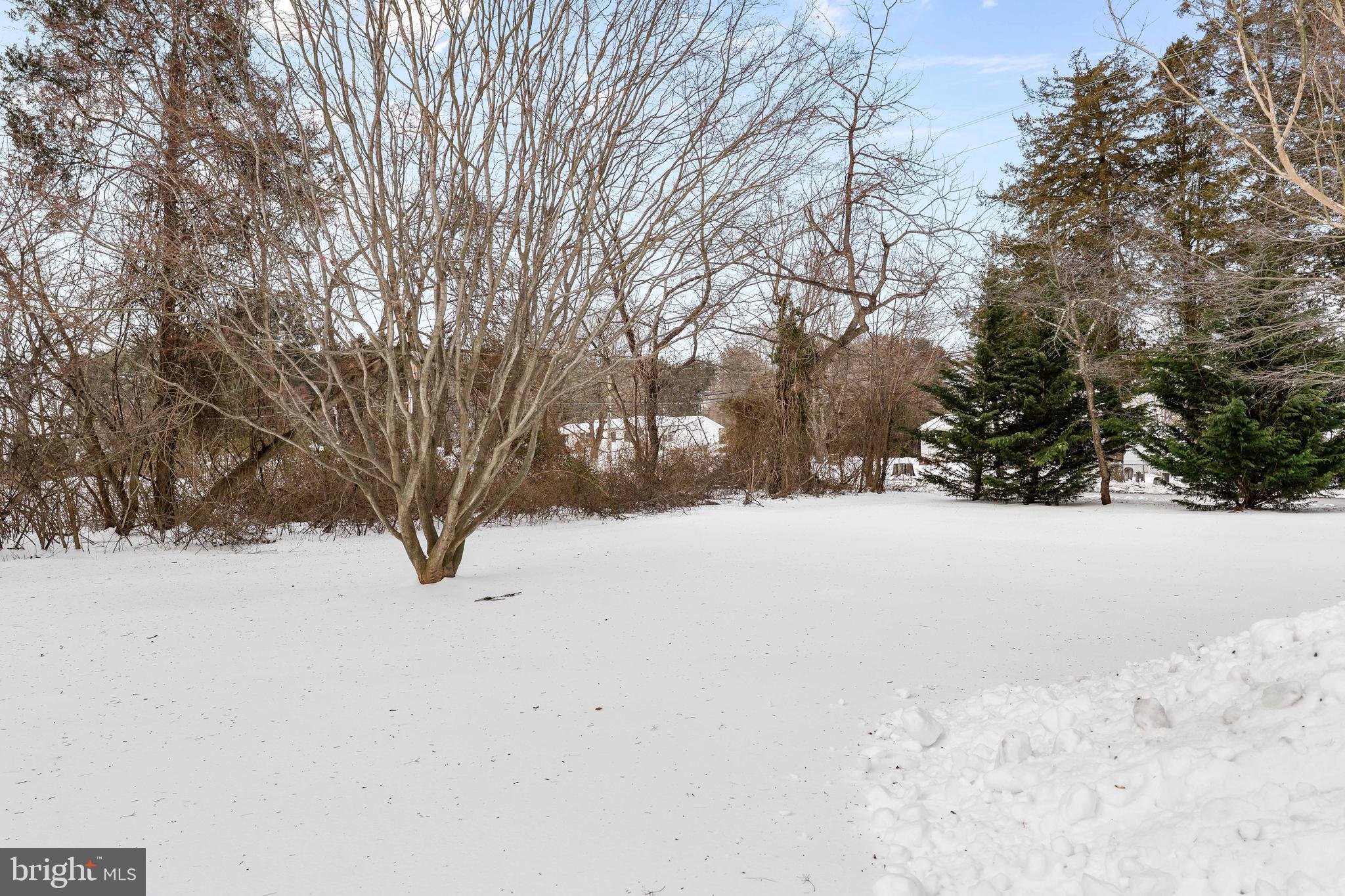 1500 Dr Jack Road Conowingo, MD 21918 - Photo 5 of 23 Front yard