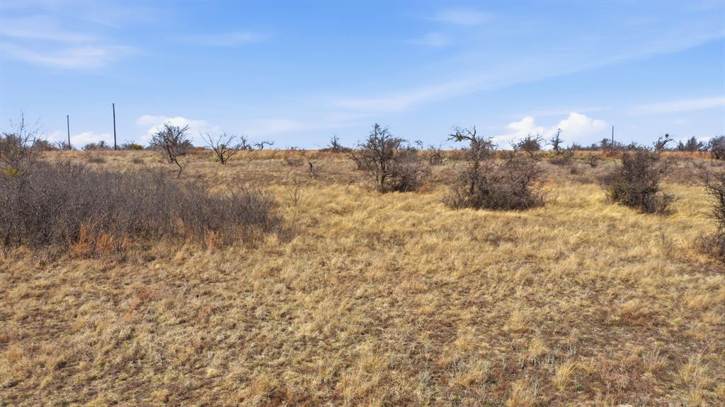 Lot 44 County Road 266 Gustine, TX 76455 - Photo 15 of 21