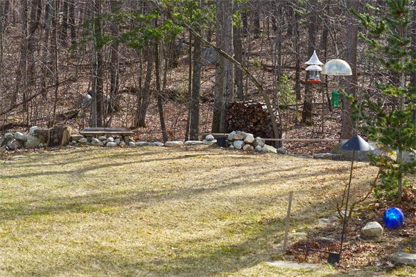 19 Deer Ridge Road Ashland, MA 01721 - Photo 8 of 30