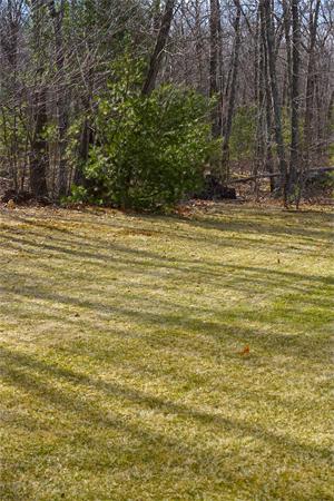 19 Deer Ridge Road Ashland, MA 01721 - Photo 9 of 30