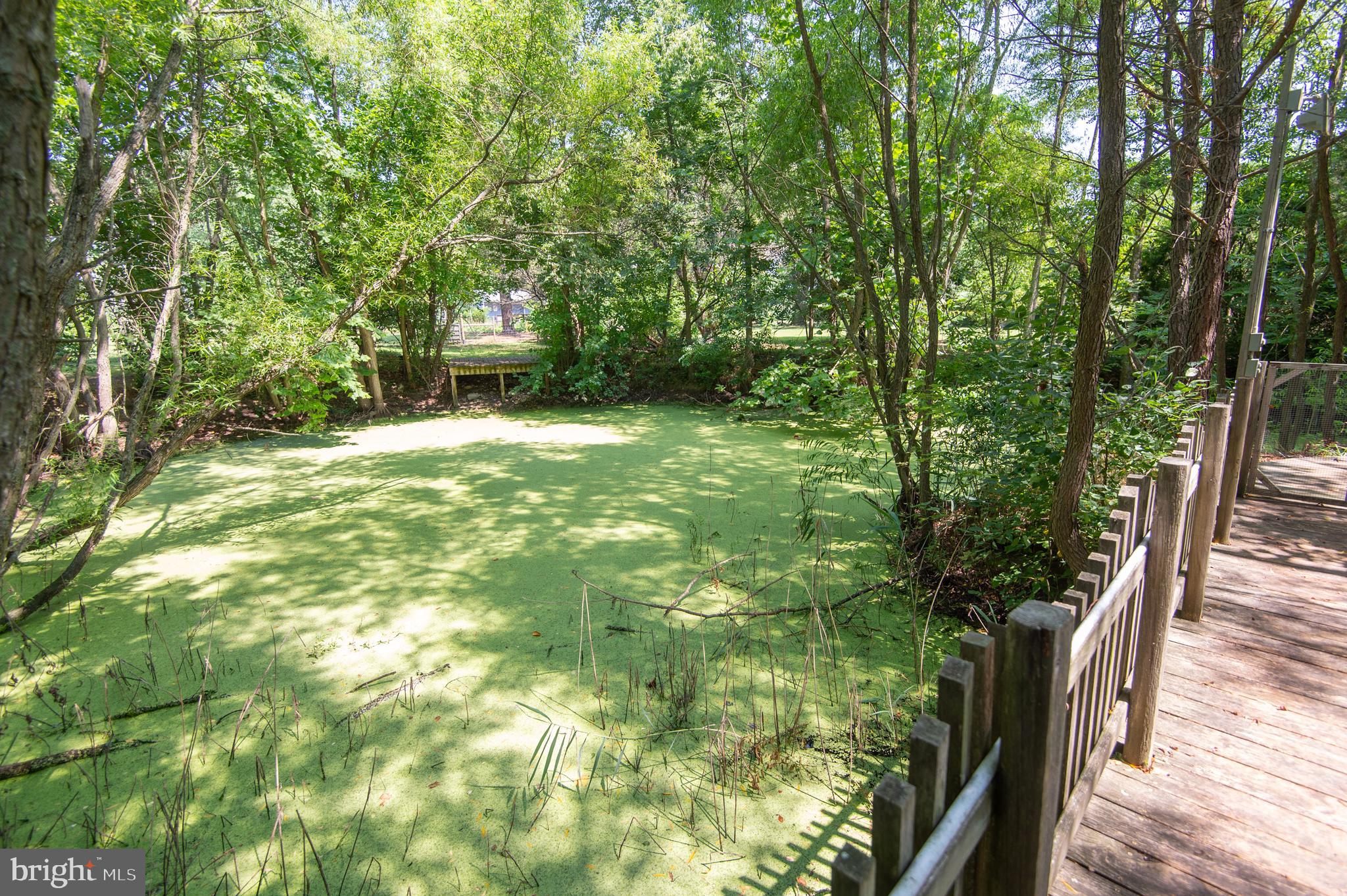 5512 Galestown Road Rhodesdale, MD 21659 - Photo 45 of 47