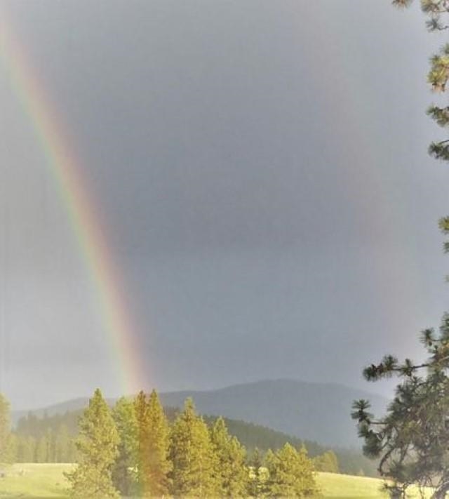 Xx Deer Creek Road Valley, WA 99181 - Photo 2 of 11